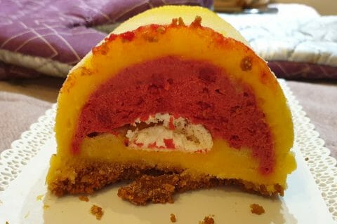 Cliquez pour zoomer ! Bûche glacée mangue et framboise Thermomix par Julie11