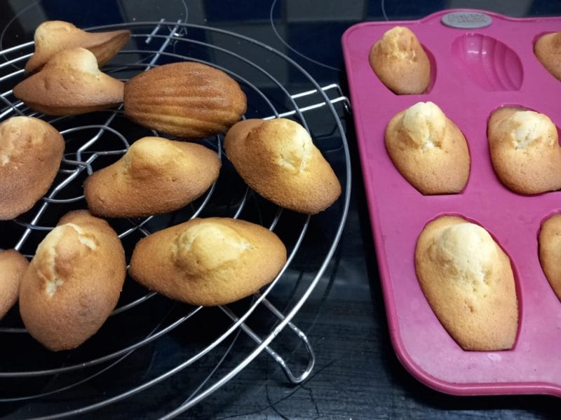 Cliquez pour zoomer ! Madeleines Thermomix par fabiennedes