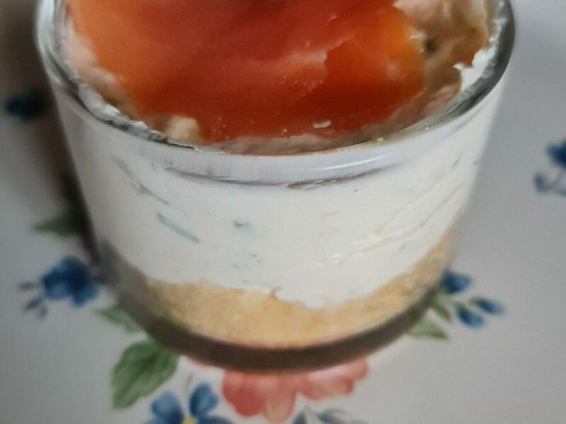 Cliquez pour zoomer ! Cheesecake au saumon sans cuisson Thermomix par gabriela_6