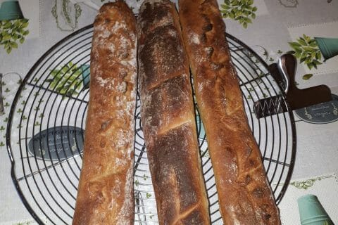 Cliquez pour zoomer ! Photo de fred1904