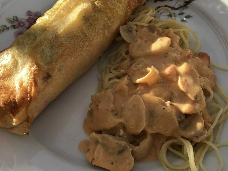 Cliquez pour zoomer ! Brick de saumon et poireaux Thermomix par cackermann