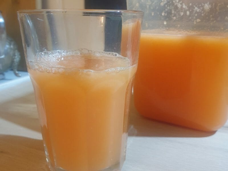 Cliquez pour zoomer ! Jus de fruits ACE Thermomix par aurelie_jessina