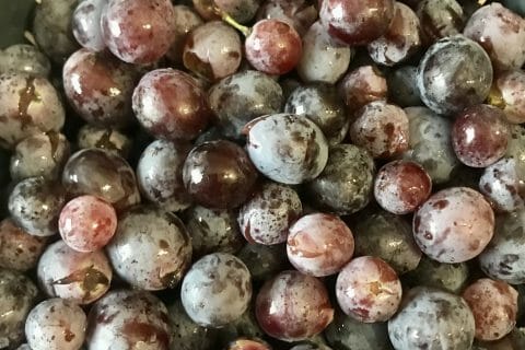 Cliquez pour zoomer ! Jus de raisins Thermomix par valeriederomans