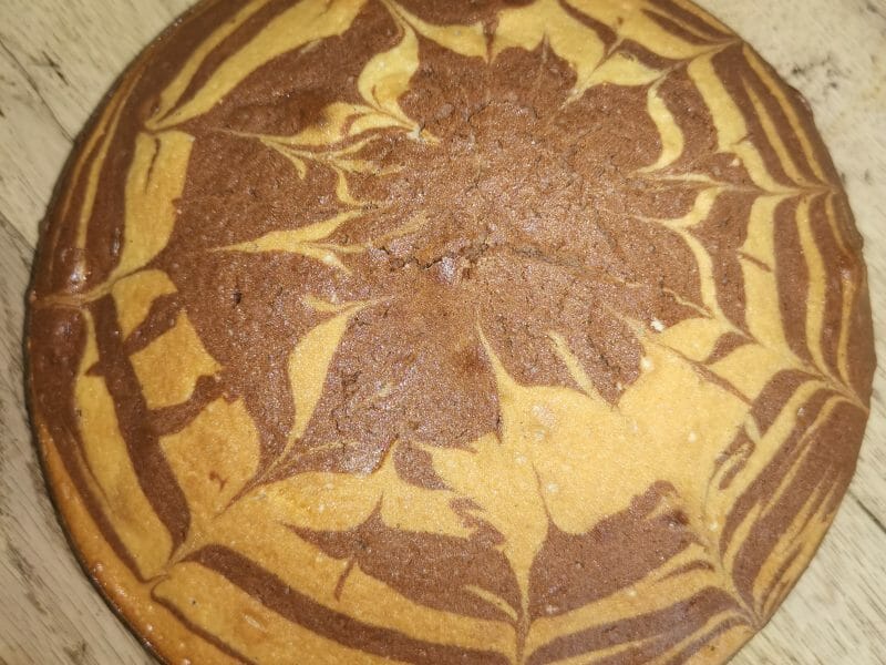 Cliquez pour zoomer ! Gâteau zébré Thermomix par Neylaju