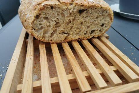 Cliquez pour zoomer ! Photo de Cocoptlouis56