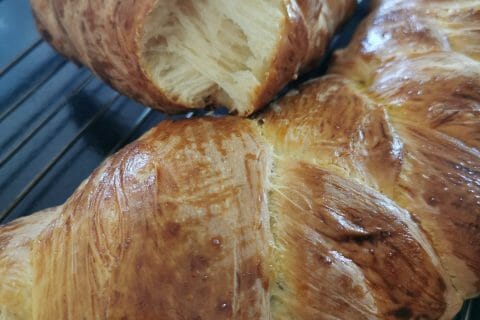 Cliquez pour zoomer ! Photo de Cocoptlouis56