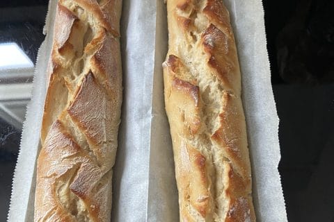 Cliquez pour zoomer ! Photo de chouchouf