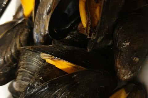 Cliquez pour zoomer ! Moules marinières Thermomix par cindy_291019