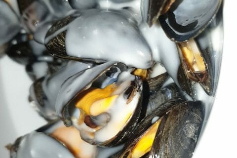 Cliquez pour zoomer ! Moules marinières Thermomix par cindy_291019