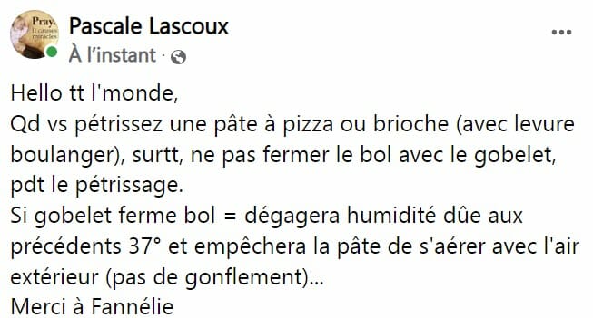 Cliquez pour zoomer ! Pâte à pizza Thermomix par Pascale Lascoux