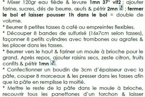 Cliquez pour zoomer ! Panettone au Thermomix