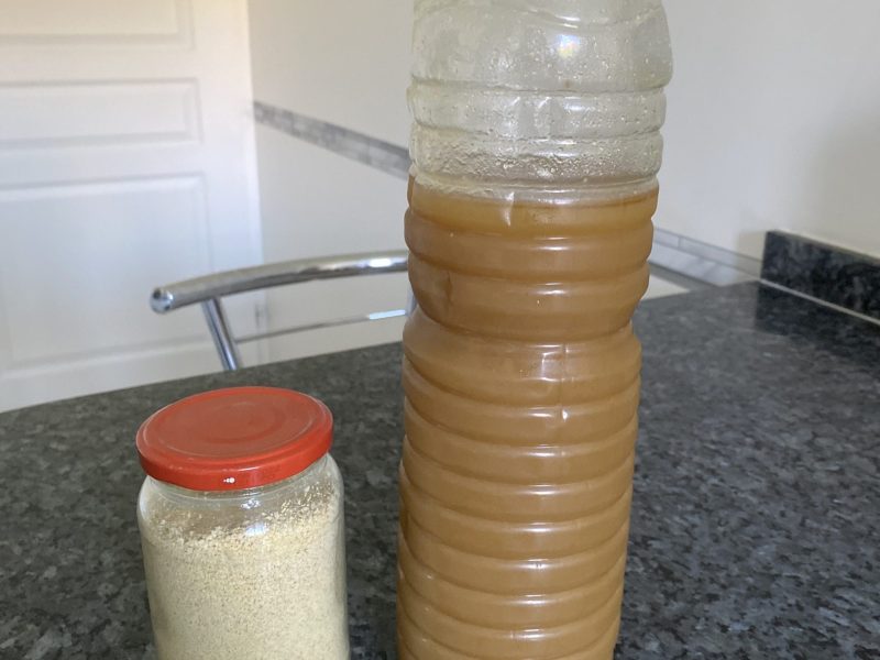 Cliquez pour zoomer ! Sirop de gingembre Thermomix par moustachasouris