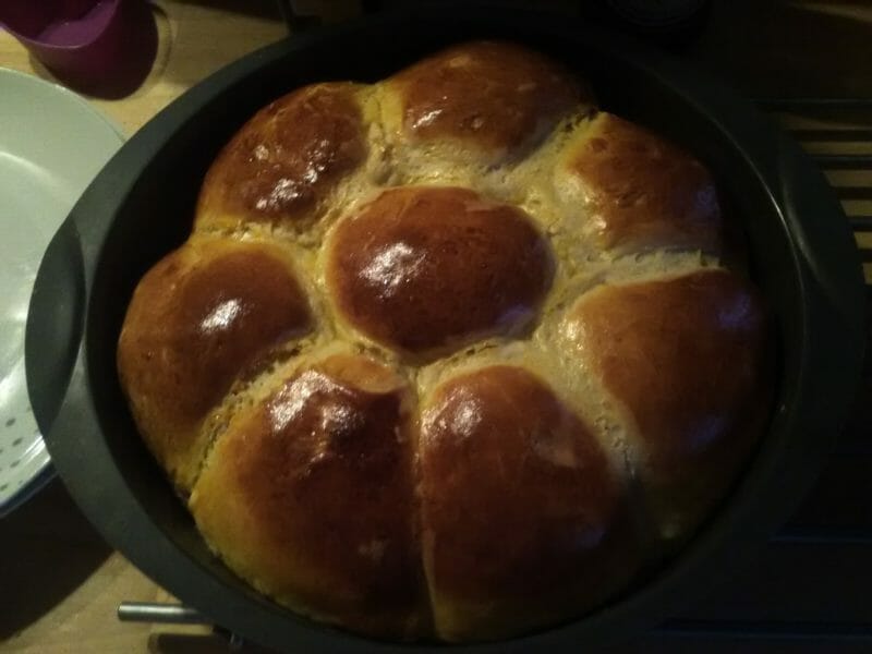 Cliquez pour zoomer ! Brioche Buchty Thermomix par slv🌸