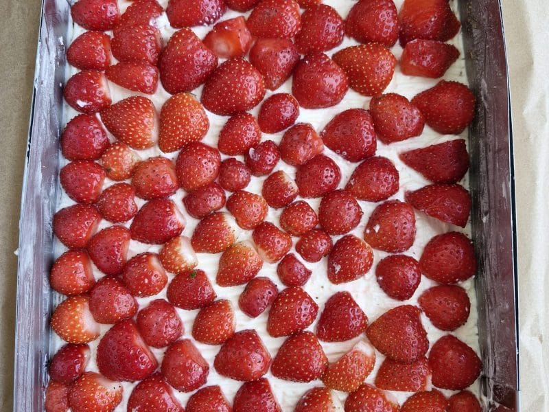 Cliquez pour zoomer ! Tarte aux fraises sans cuisson Thermomix par edyta_2