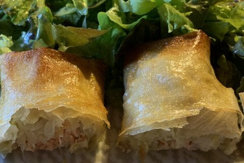 Cliquez pour zoomer ! Brick de saumon et poireaux Thermomix par ip01