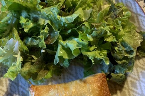 Cliquez pour zoomer ! Brick de saumon et poireaux Thermomix par ip01