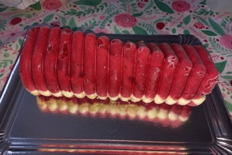 Cliquez pour zoomer ! Bûche glacée mangue et framboise Thermomix par celine79-86