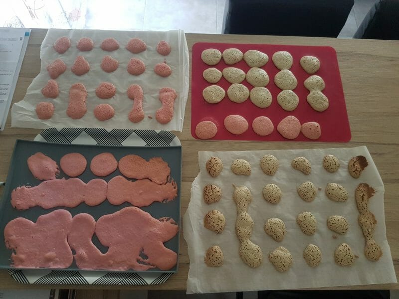 Cliquez pour zoomer ! Macarons Thermomix par thinohe