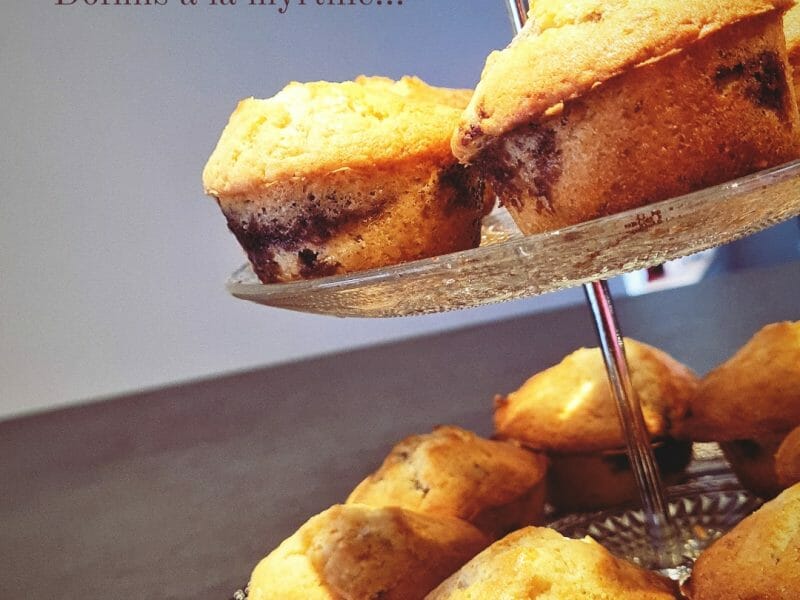 Cliquez pour zoomer ! Doffins Thermomix par dianou88120