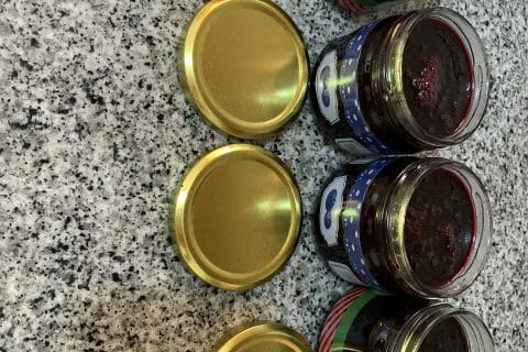 Confiture de myrtilles au Thermomix - Cookomix