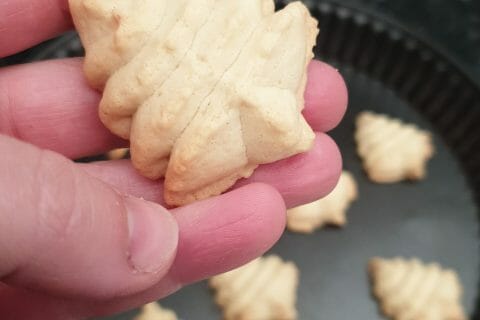 Cliquez pour zoomer ! Photo de ooreo