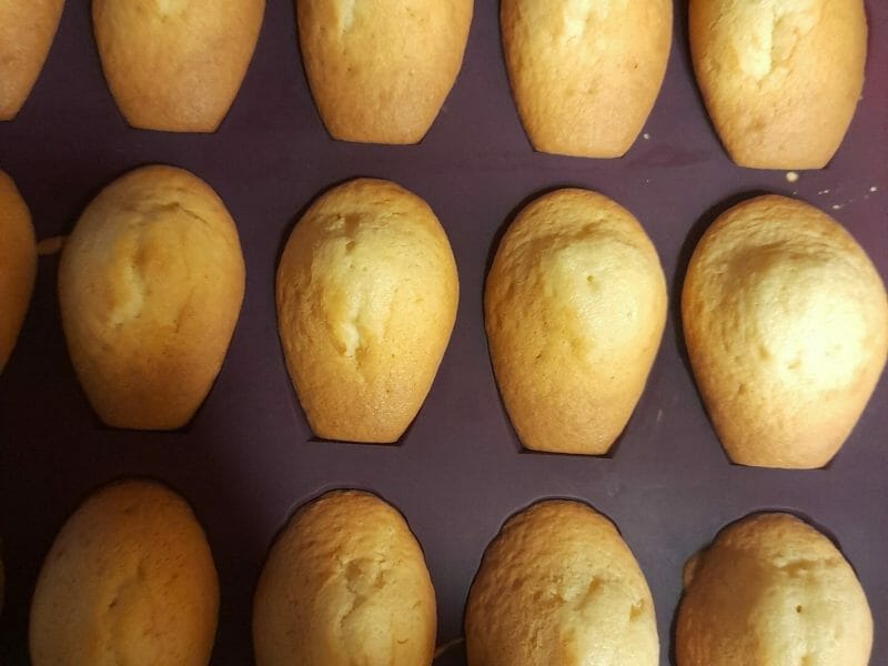 Cliquez pour zoomer ! Madeleines Thermomix par virginie2607