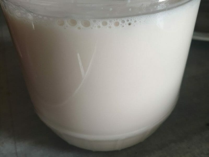 Cliquez pour zoomer ! Lait de noisettes Thermomix par so