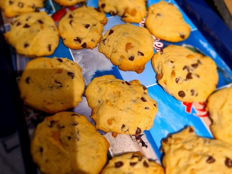 Cliquez pour zoomer ! Cookies noix de cajou et chocolat Thermomix par tiffanygyr
