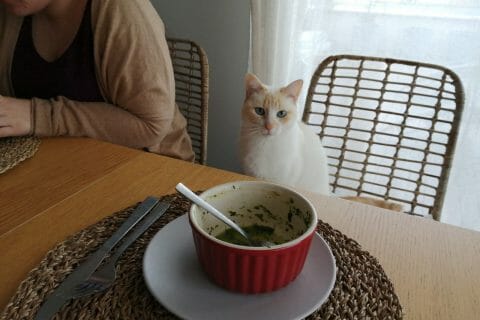 Cliquez pour zoomer ! Oeufs à la florentine Thermomix par Princesse Mathilde