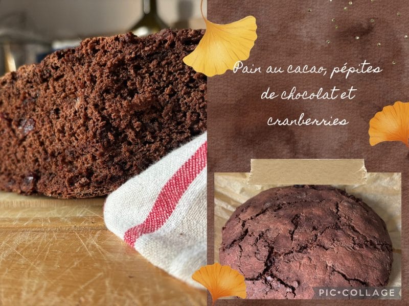Cliquez pour zoomer ! Pain au cacao et pépites de chocolat Thermomix par titibigoudi