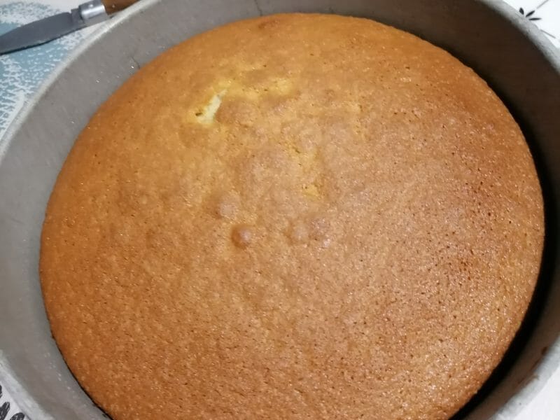 Cliquez pour zoomer ! Gâteau au yaourt Thermomix par lalicia