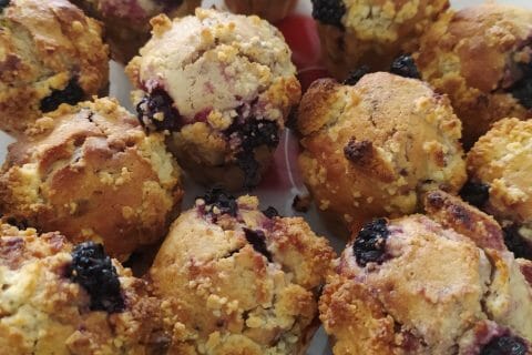 Cliquez pour zoomer ! Muffins aux myrtilles Thermomix par slysly