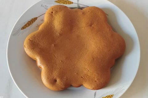 Cliquez pour zoomer ! Gâteau neige Thermomix par slysly