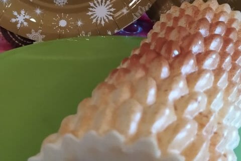 Cliquez pour zoomer ! Bûche citron et framboises Thermomix par slysly