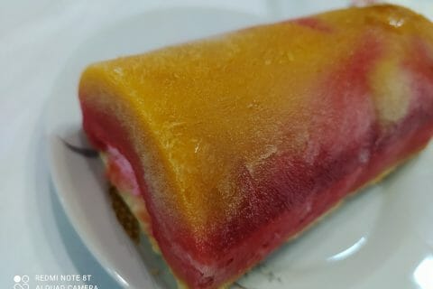 Cliquez pour zoomer ! Bûche glacée mangue et framboise Thermomix par slysly