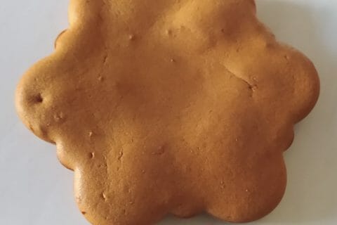 Cliquez pour zoomer ! Gâteau neige Thermomix par slysly