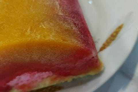 Cliquez pour zoomer ! Bûche glacée mangue et framboise Thermomix par slysly