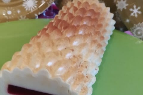 Cliquez pour zoomer ! Bûche citron et framboises Thermomix par slysly