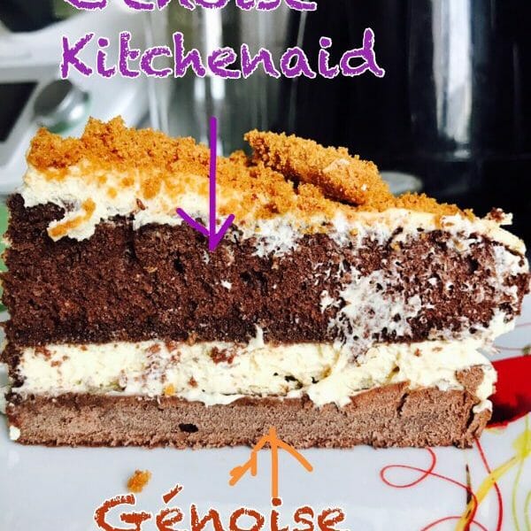 Cliquez pour zoomer ! Génoise au chocolat Thermomix par Ladees28