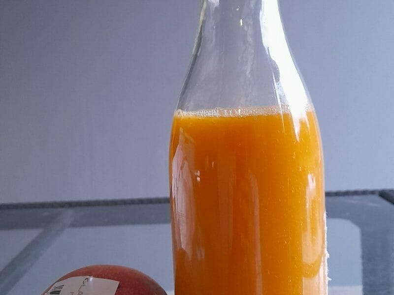 Cliquez pour zoomer ! Nectar de mangue Thermomix par scoubina