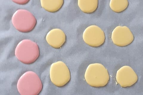 Cliquez pour zoomer ! Macarons Thermomix par momoune86