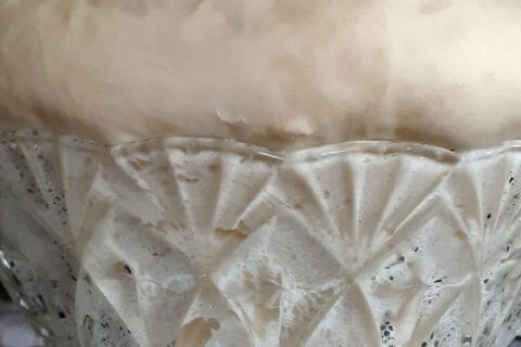 Cliquez pour zoomer ! Brioche Buchty Thermomix par momoune86