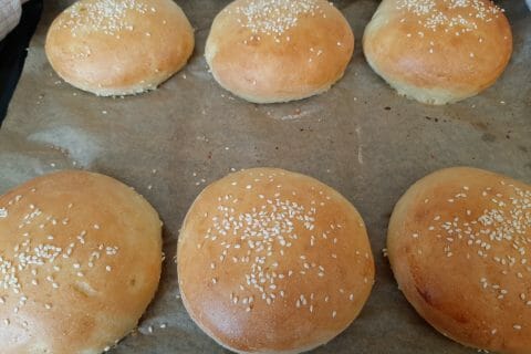 Cliquez pour zoomer ! Pains hamburger Thermomix par Aswurtz