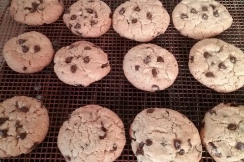Photos des recettes