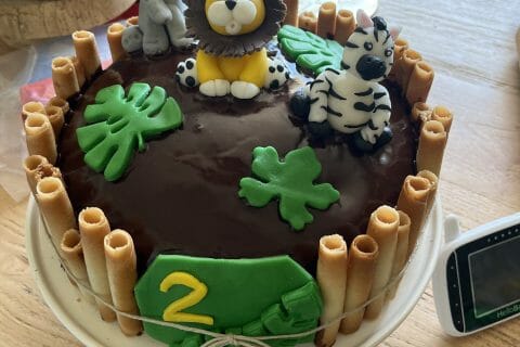 Cliquez pour zoomer ! Photo de tentense44