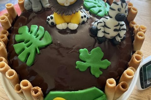 Cliquez pour zoomer ! Photo de tentense44