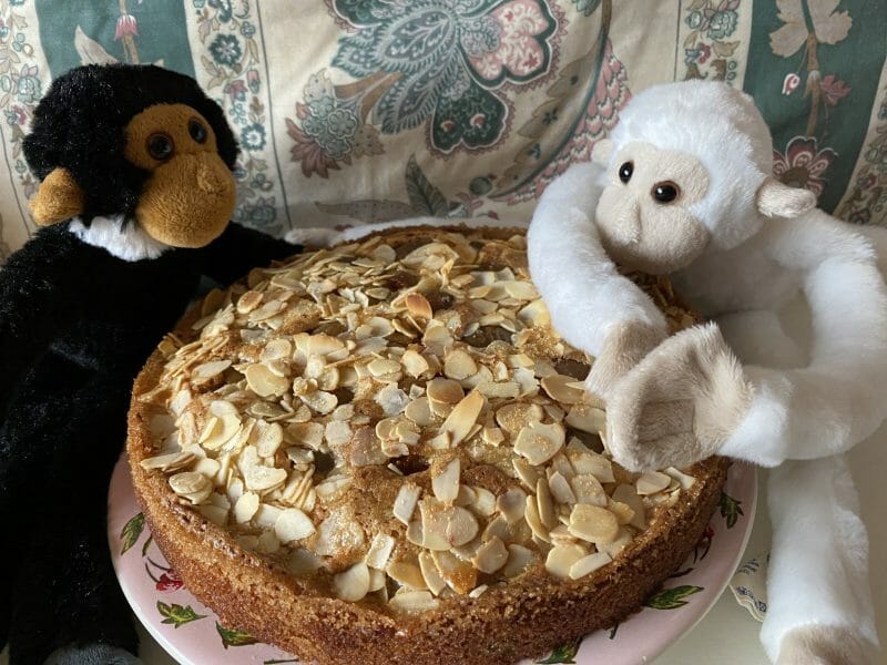 Cliquez pour zoomer ! Gâteau moelleux aux abricots Thermomix par Miminefer