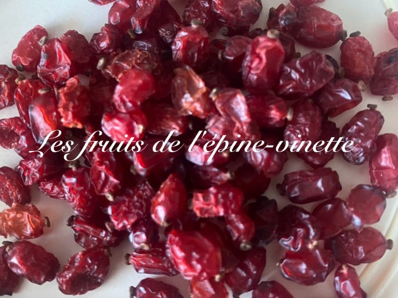 Cliquez pour zoomer ! Croustade aux pommes canadienne Thermomix par Miminefer