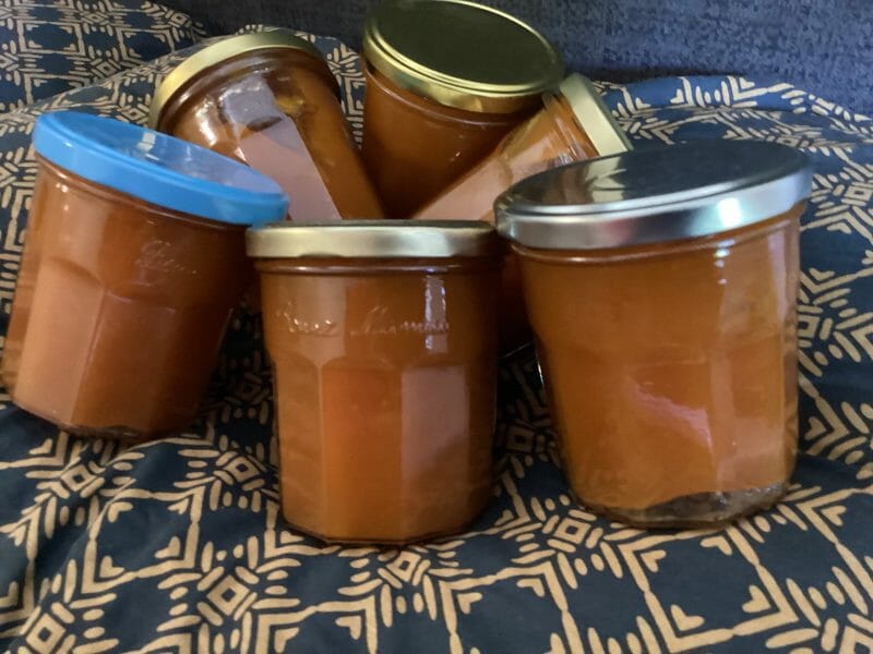 Cliquez pour zoomer ! Confiture d’abricots Thermomix par Miminefer