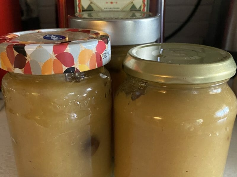 Cliquez pour zoomer ! Compote de pomme Thermomix par Miminefer